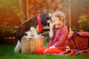 happy child girl playing with her cavalier king charles spaniel dog in autumn garden