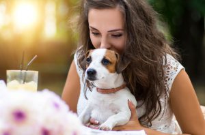 Young, beautiful girl has received a long-awaited gift - dog breed Jack Russell Terrier. Girl sitting at a restaurant or cafe table outdoors. Wonderful summer, sunny day.