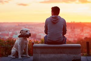 Young man with his dog at the sunrise